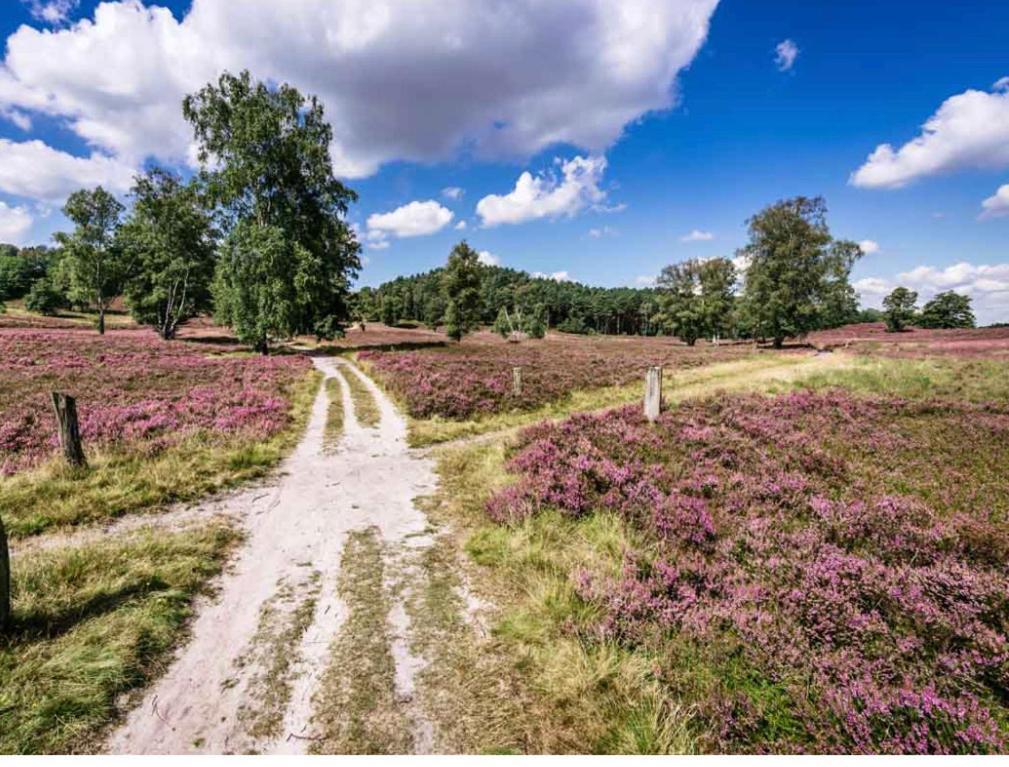 Feelslikehome - Reihenhaus Zwischen Hamburg Und Heide Mit Garten&Garage Neu Wulmstorf Extérieur photo
